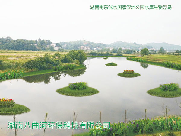 湖南衡东洣水国家湿地公园水库生物浮岛
